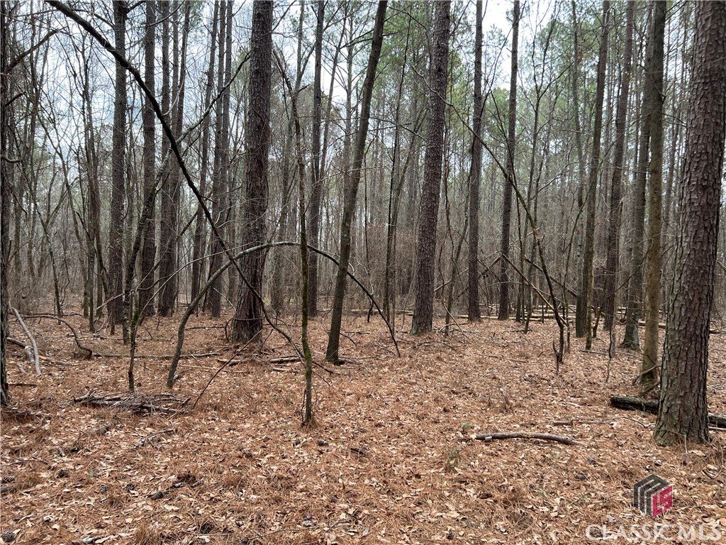 Lot D Salem Road Property Photo 10