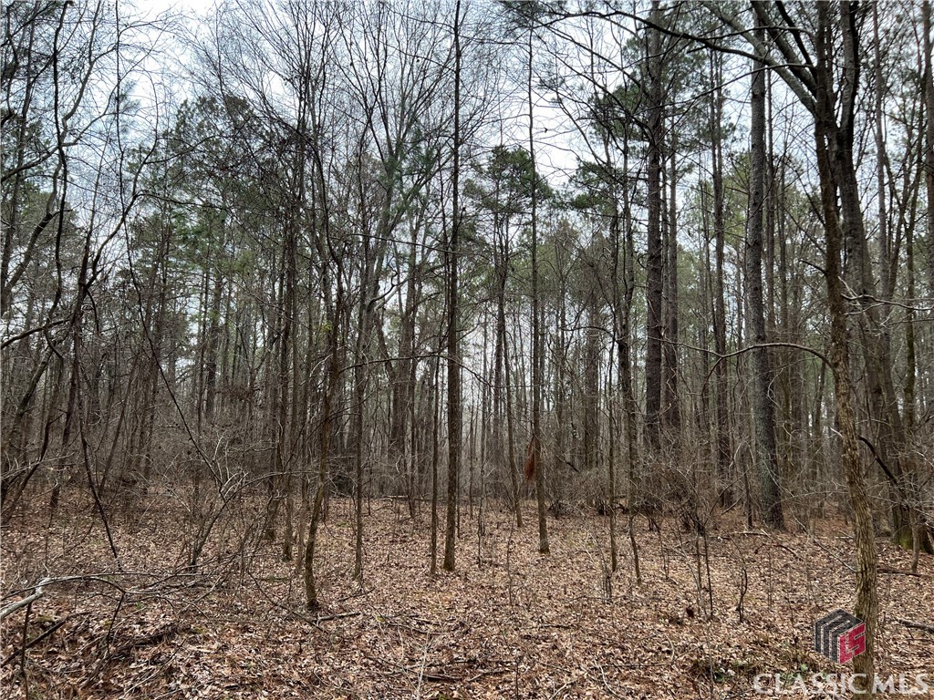 Lot D Salem Road Property Photo 11