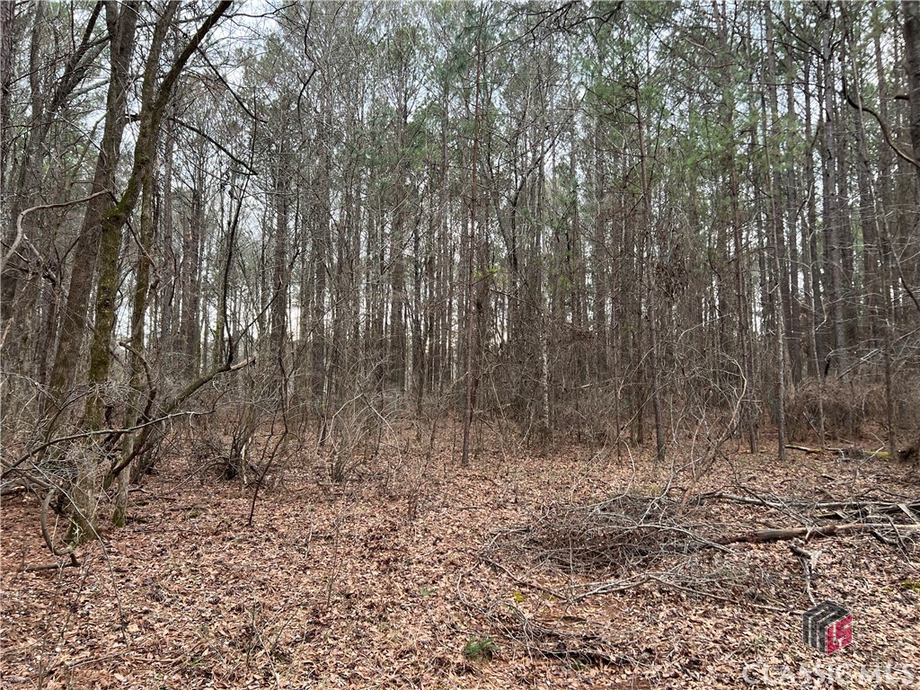 Lot D Salem Road Property Photo 13