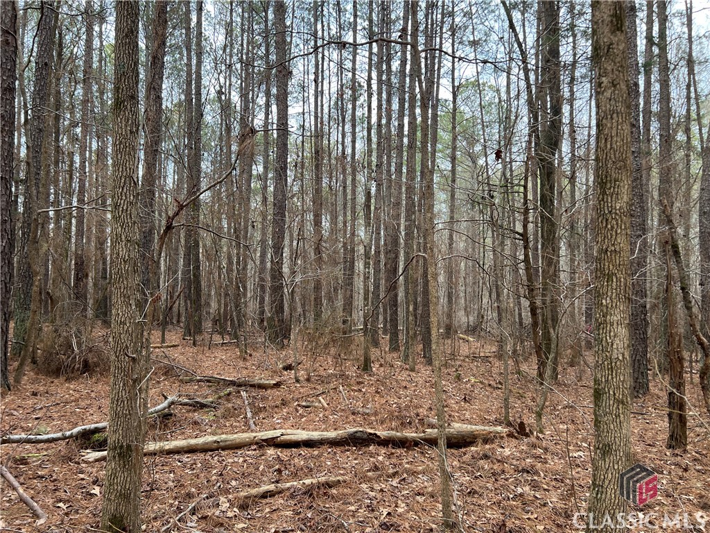 Lot D Salem Road Property Photo 15