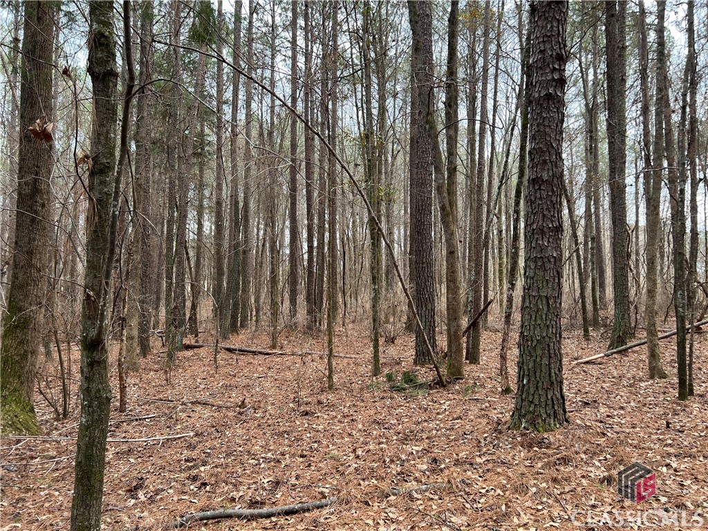 Lot D Salem Road Property Photo 16