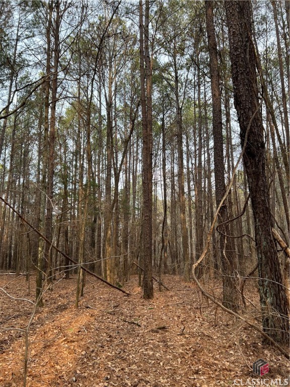 Lot D Salem Road Property Photo 19