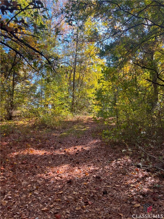 222 Jett Roberts Road Property Photo 6