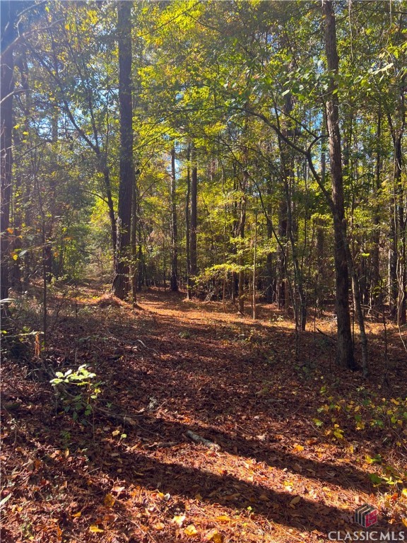 222 Jett Roberts Road Property Photo 7