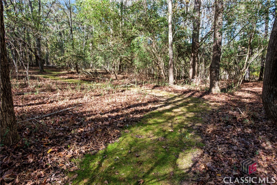 2300 New High Shoals Road Property Photo 39