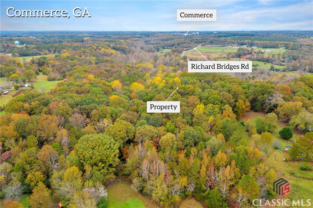 704 Richard Bridges Road Property Photo 5