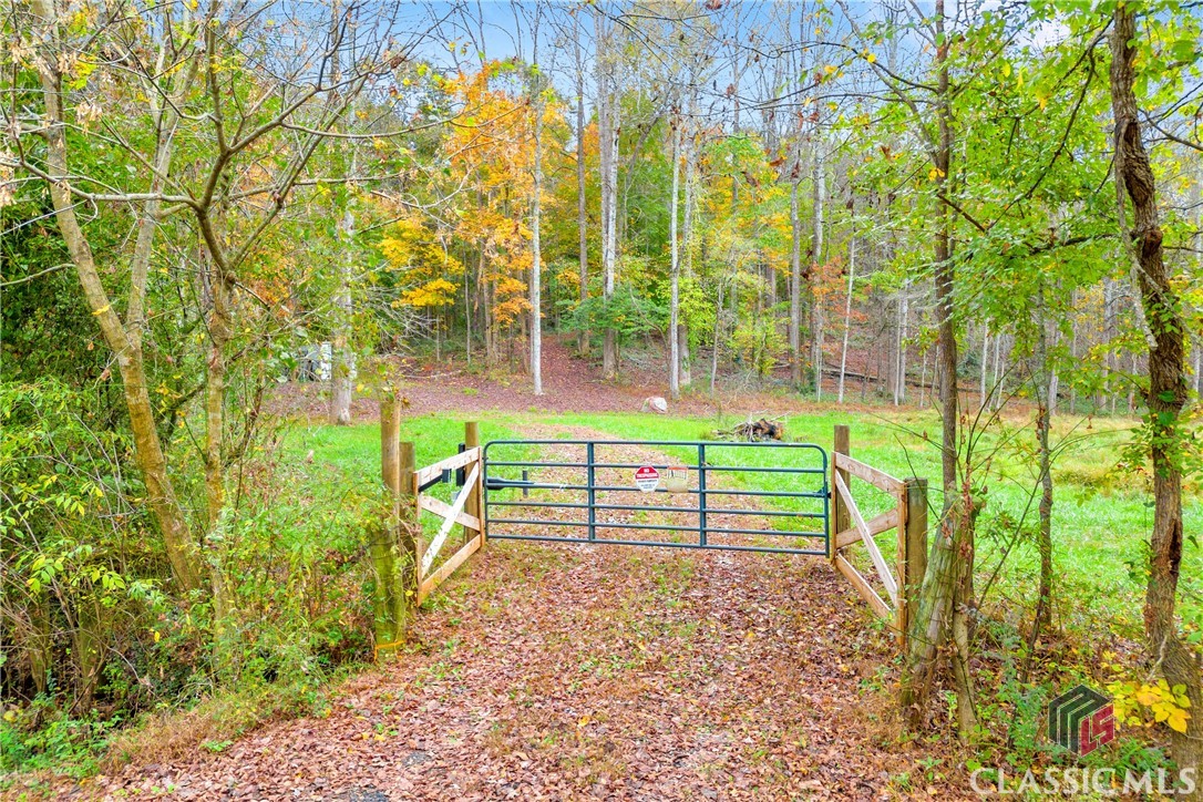 704 Richard Bridges Road Property Photo 7