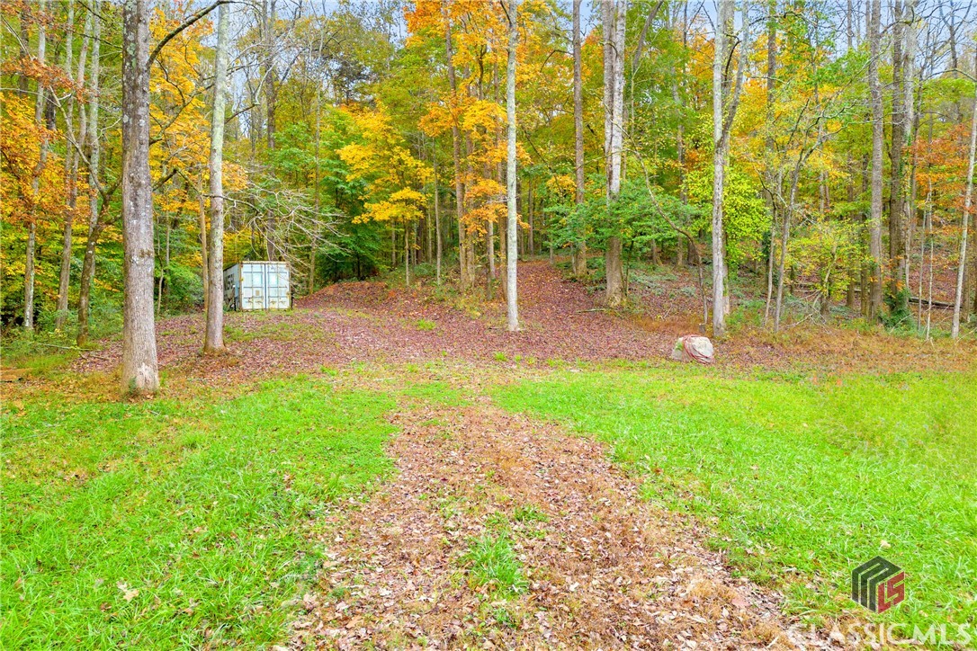 704 Richard Bridges Road Property Photo 8