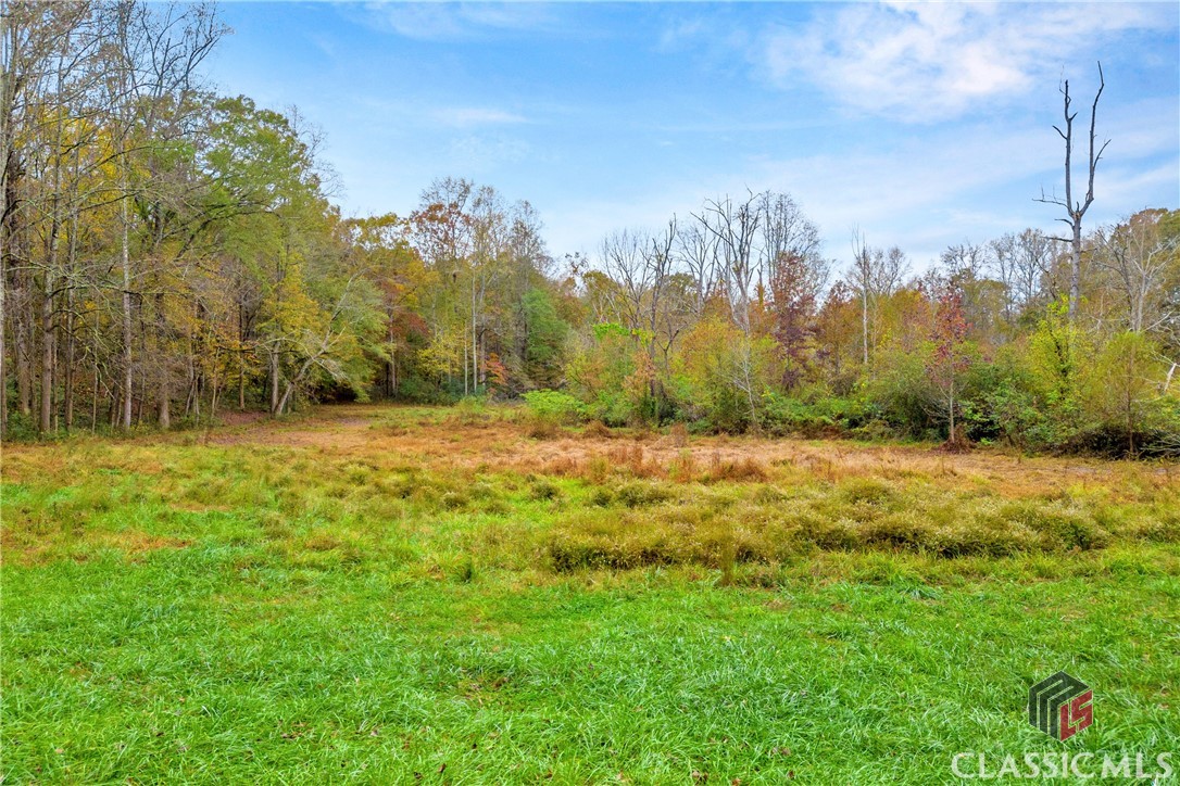 704 Richard Bridges Road Property Photo 9
