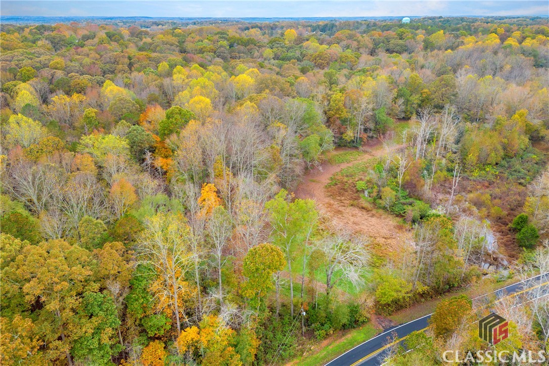 704 Richard Bridges Road Property Photo 17