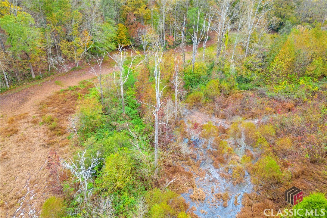704 Richard Bridges Road Property Photo 21