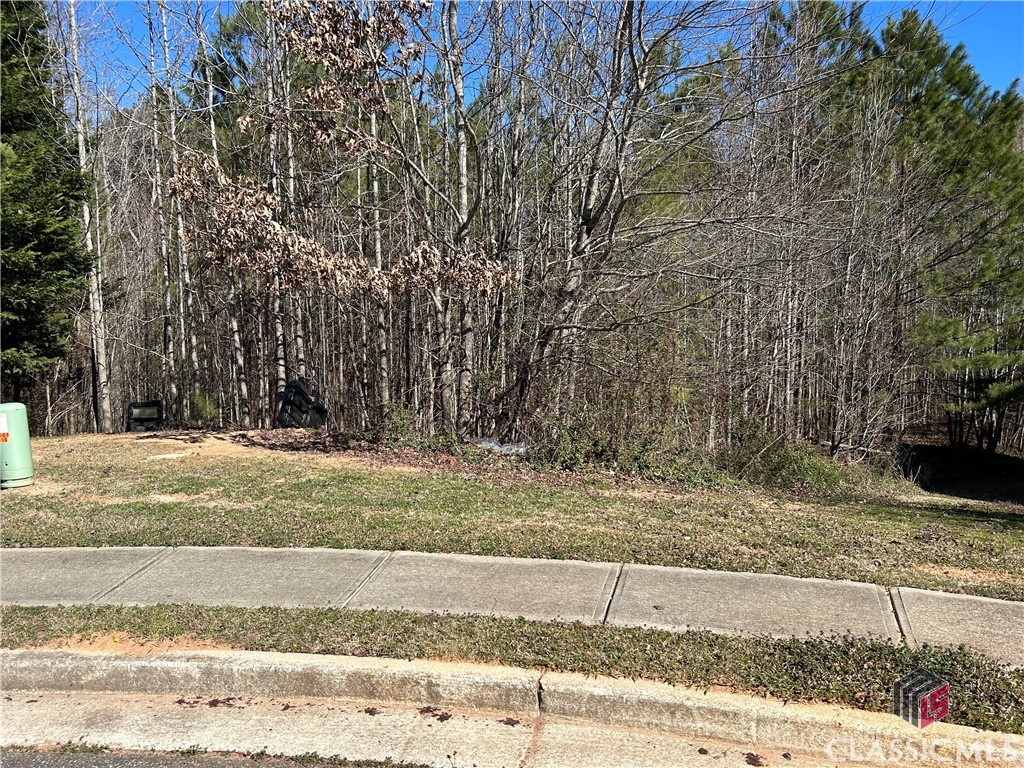 1157 Augustine Drive Property Photo 1