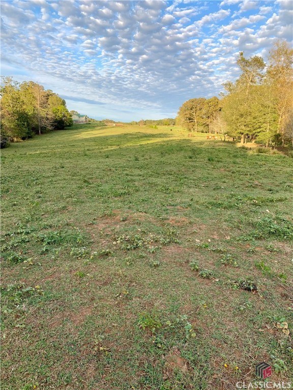 0 Harris Farms Road Property Photo 1