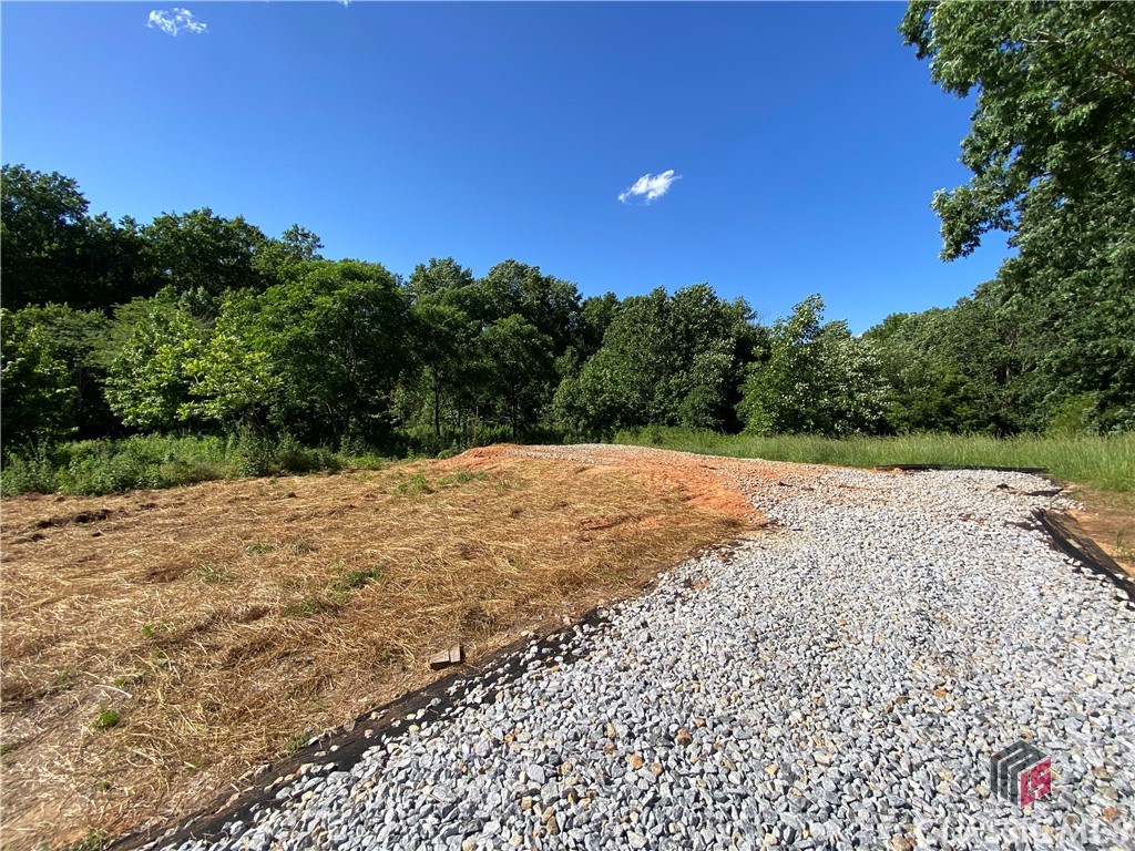 0 Hwy 51s Property Photo 1