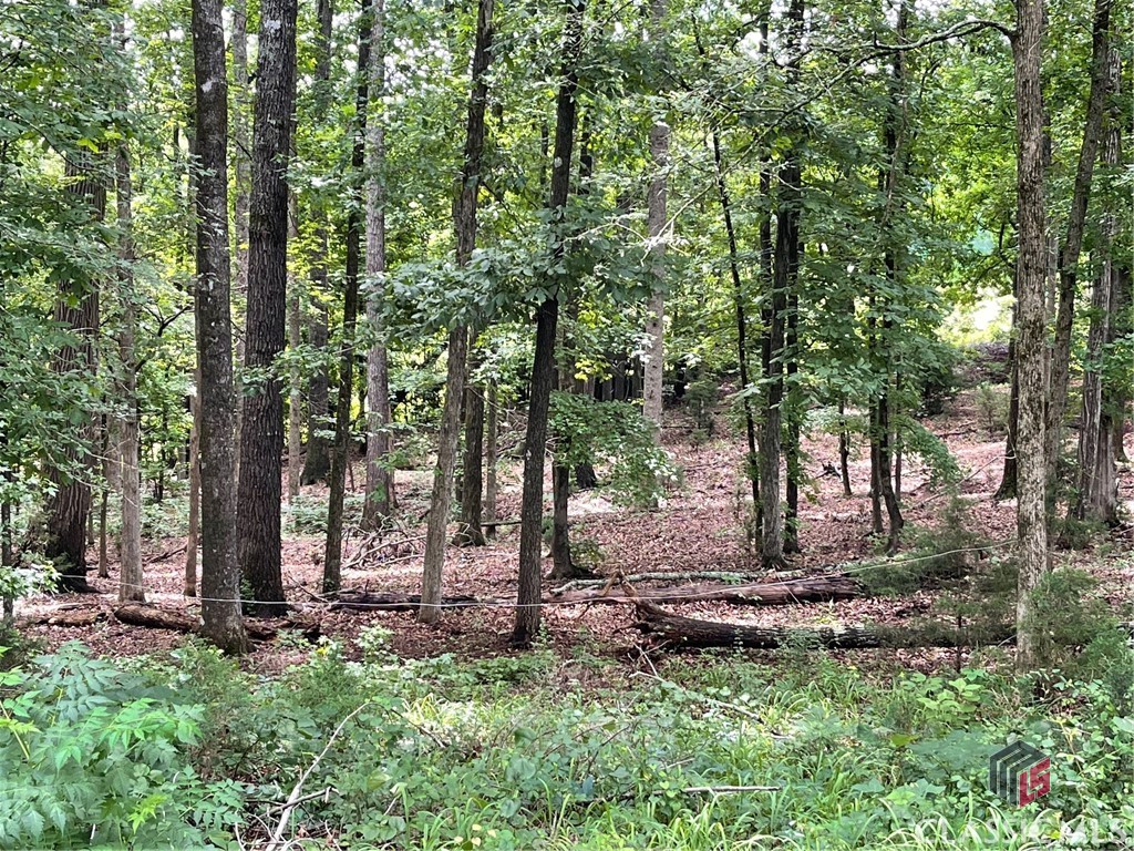495 Bragg Road Property Photo 35