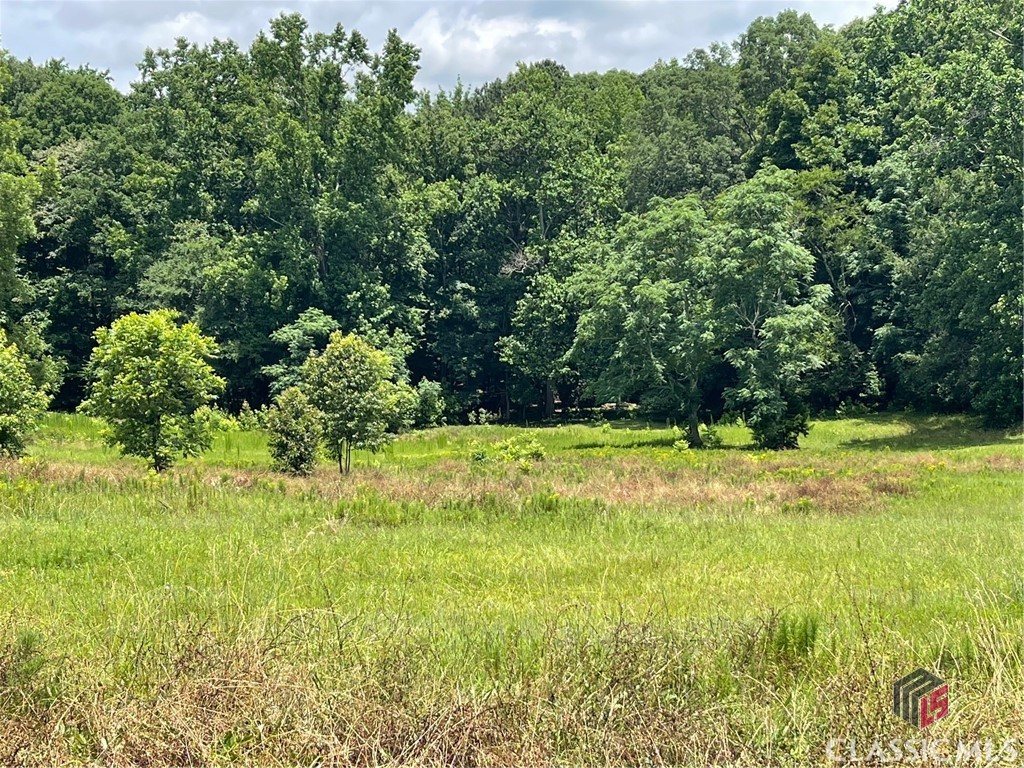 495 Bragg Road Property Photo 49