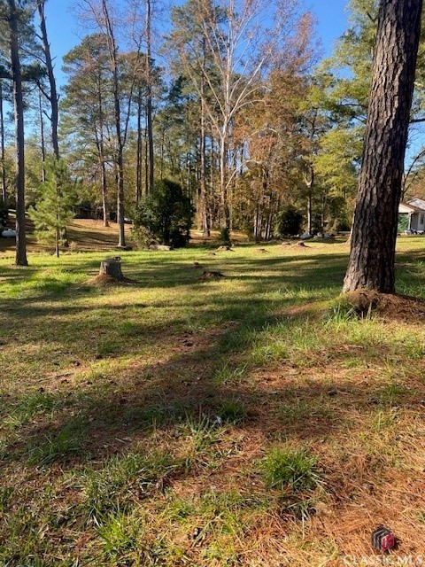 0 Woodland Court Property Photo 1