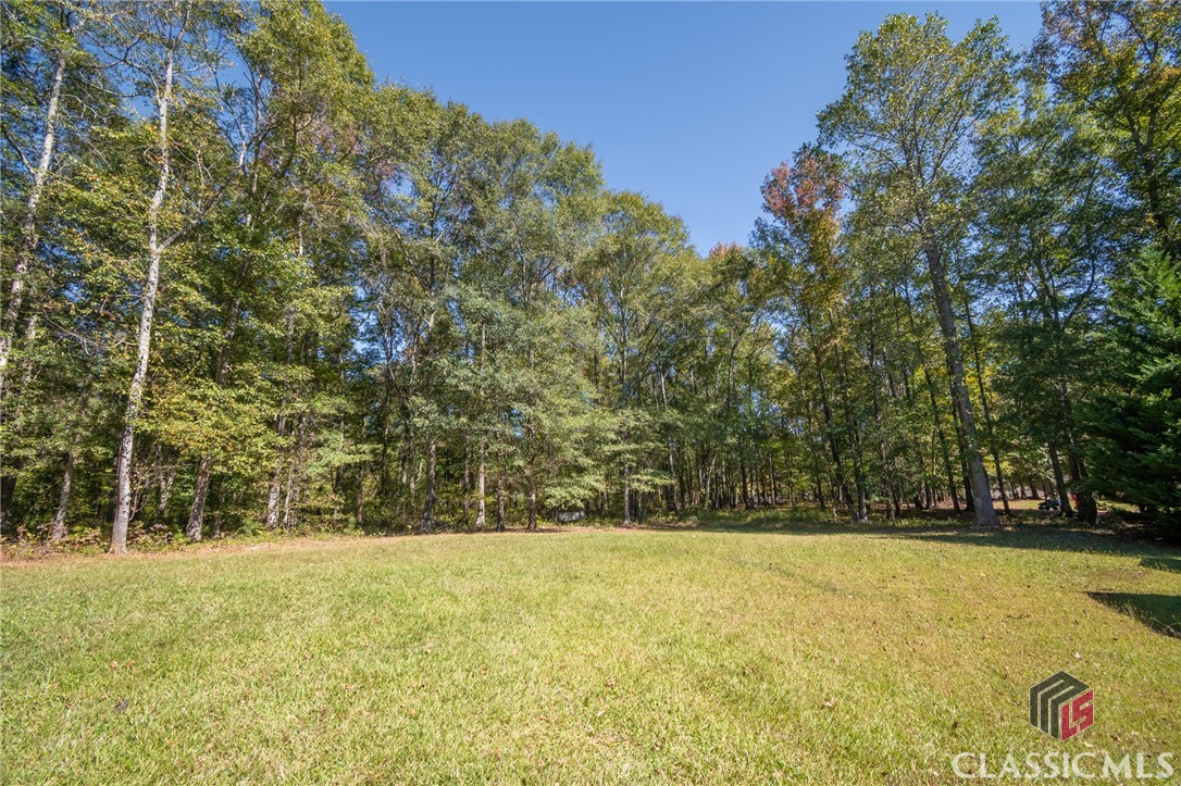 118 Mount Vernon Way Property Photo 63