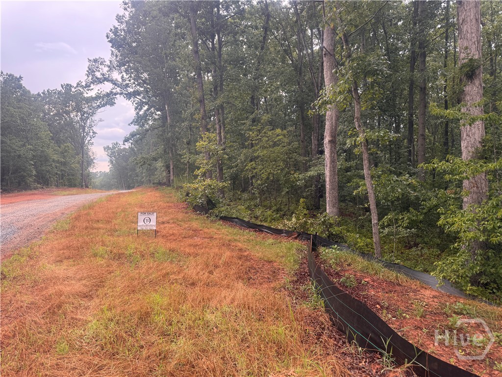 2a Curry Falls Trail Road Property Photo 1