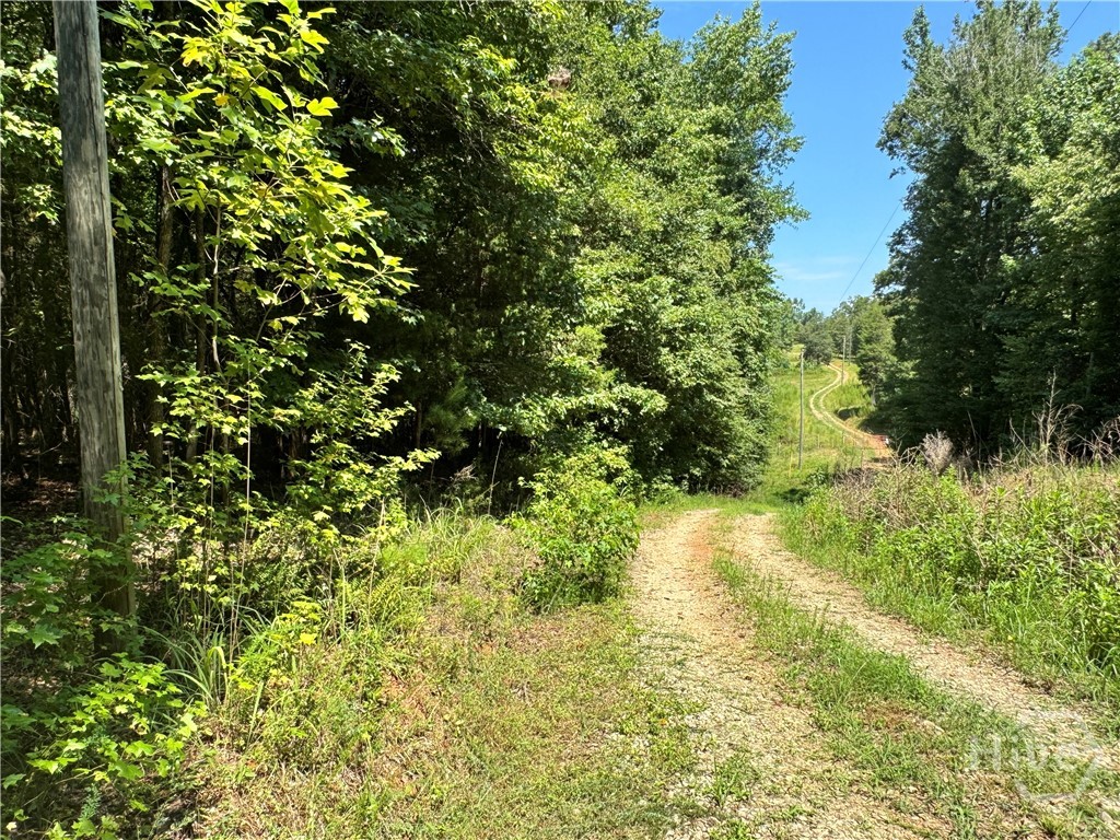 0 Hwy 29 N Property Photo 1