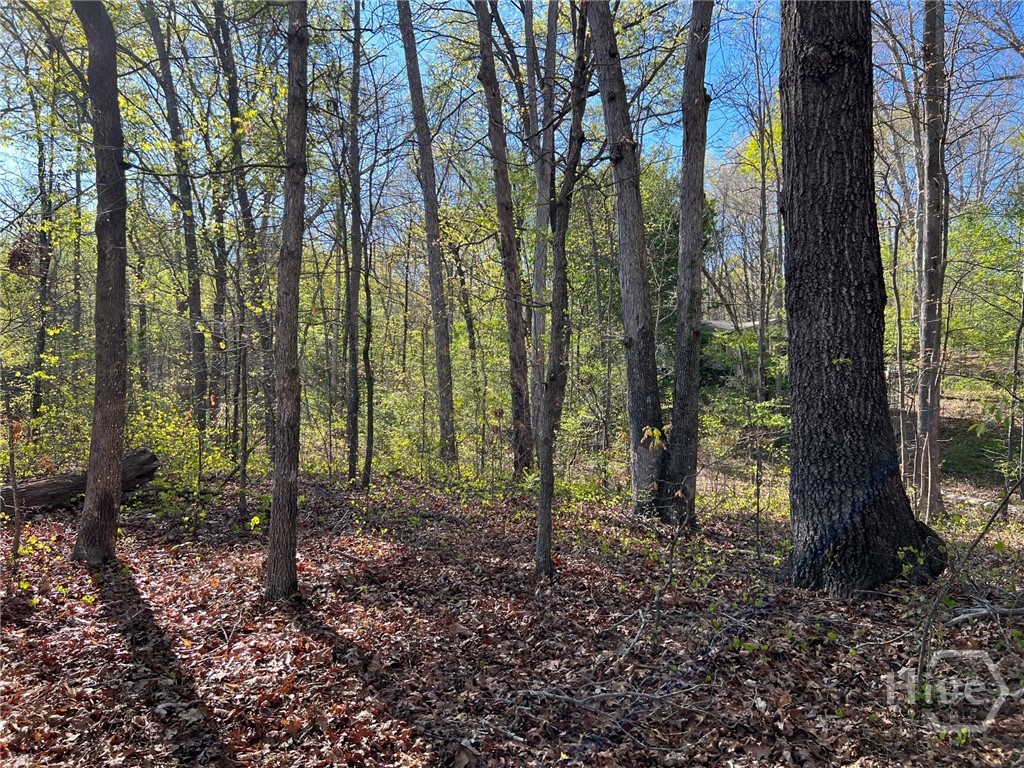 533 Pearwood Property Photo 1