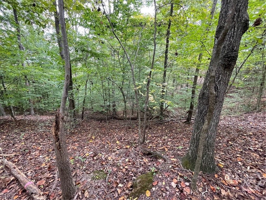 Lot 296 Oconee Avenue Property Photo