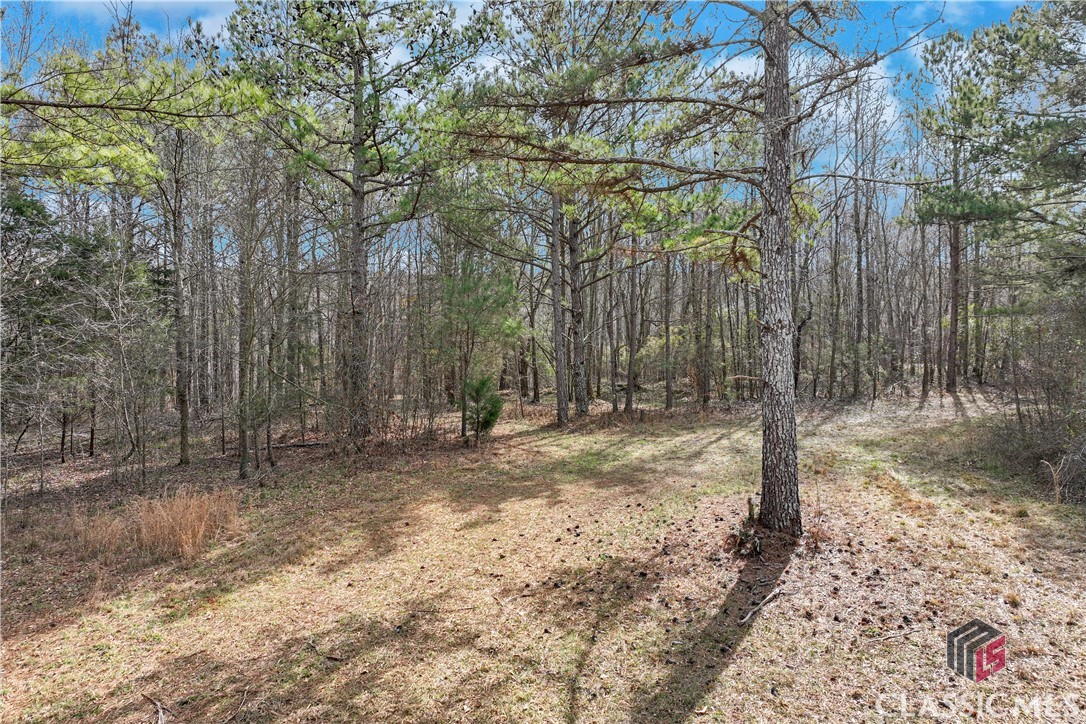 1423 Hargrove Lake Road Property Photo 1