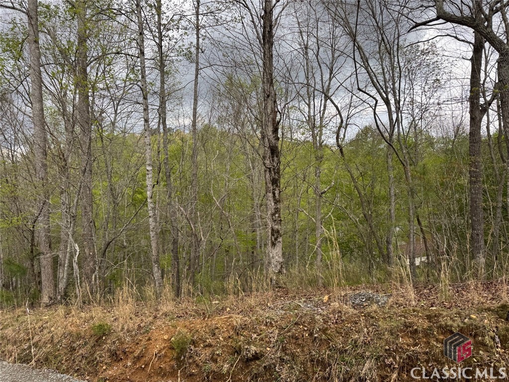 0 Aspen Court Property Photo 1