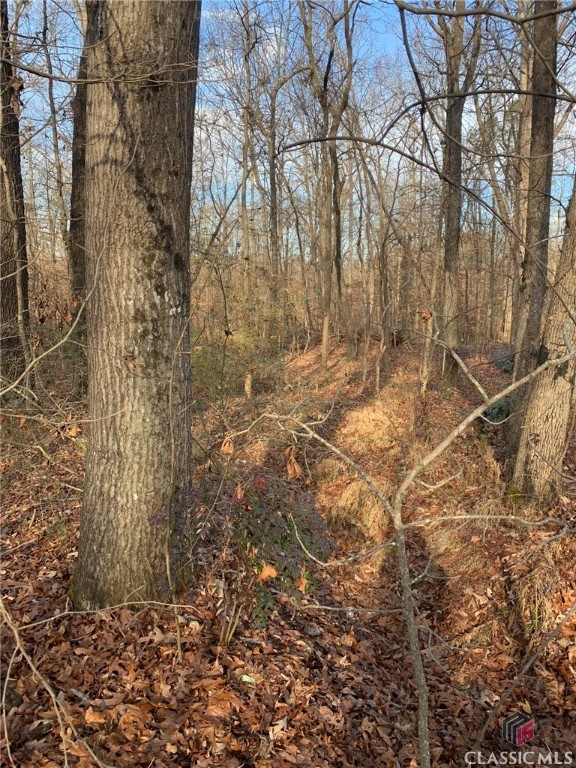 0 S Tanglewood Drive Property Photo