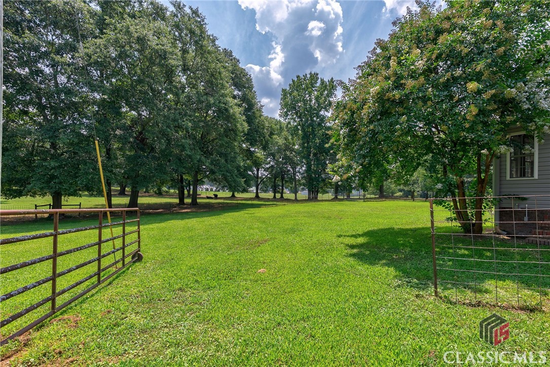 1131 Treadwell Bridge Road Property Photo 11