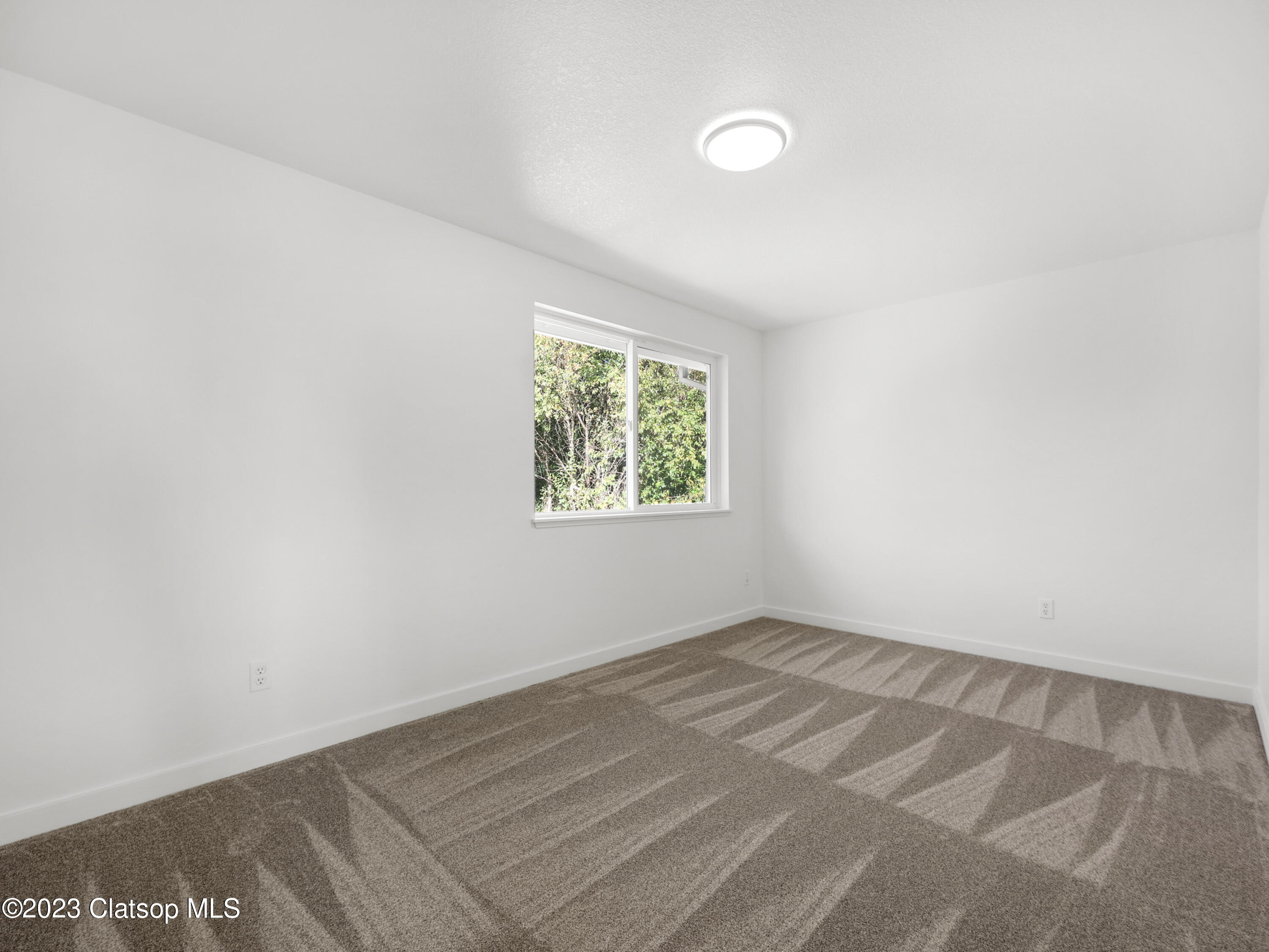 1729 5th Street Property Photo 28