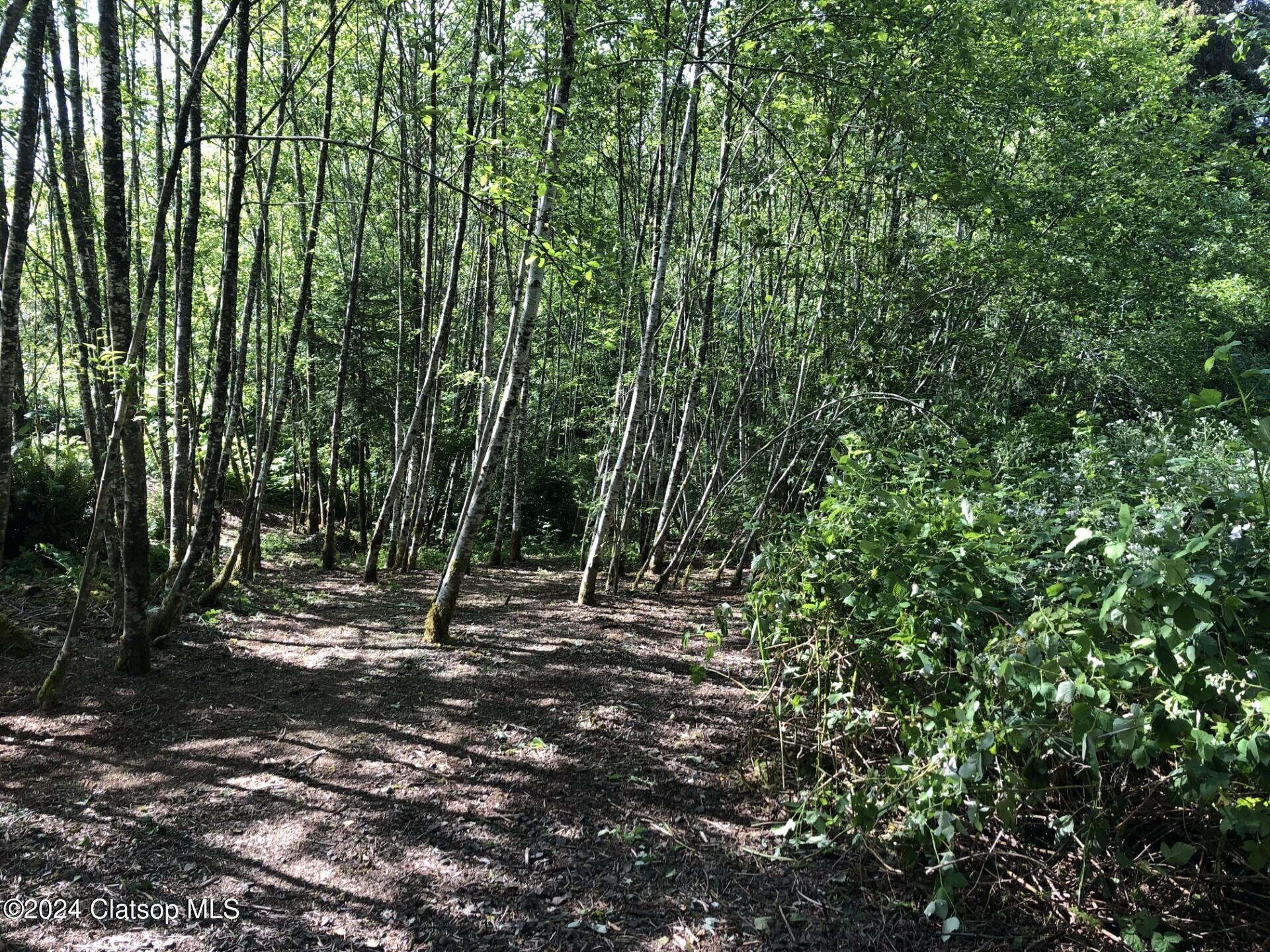 Lot 68 Bay View Road Property Photo 5