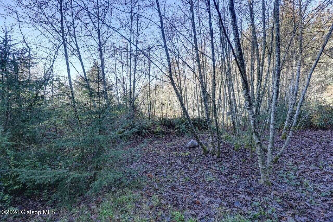 Lot 68 Bay View Road Property Photo 8