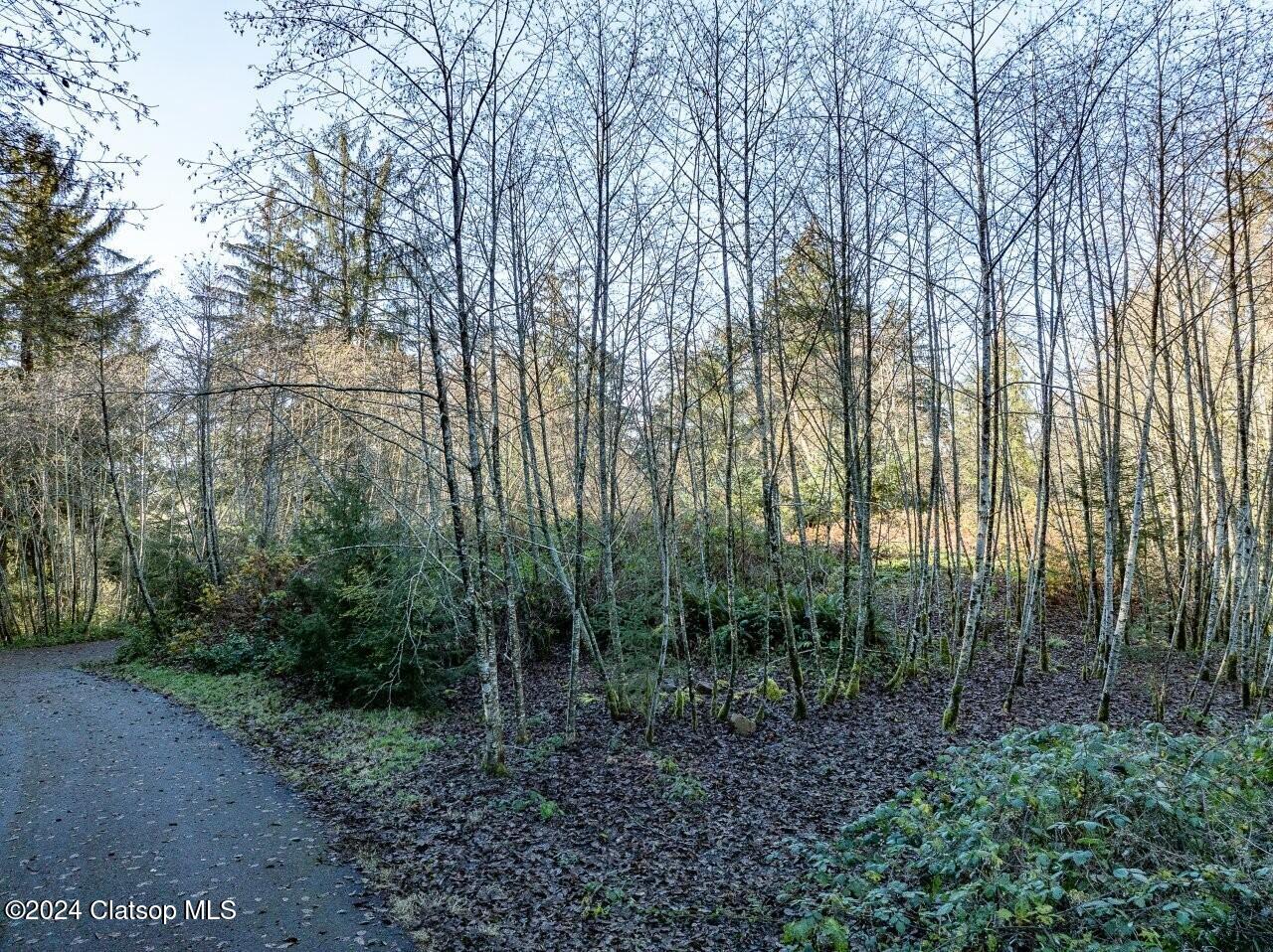 Lot 68 Bay View Road Property Photo 9