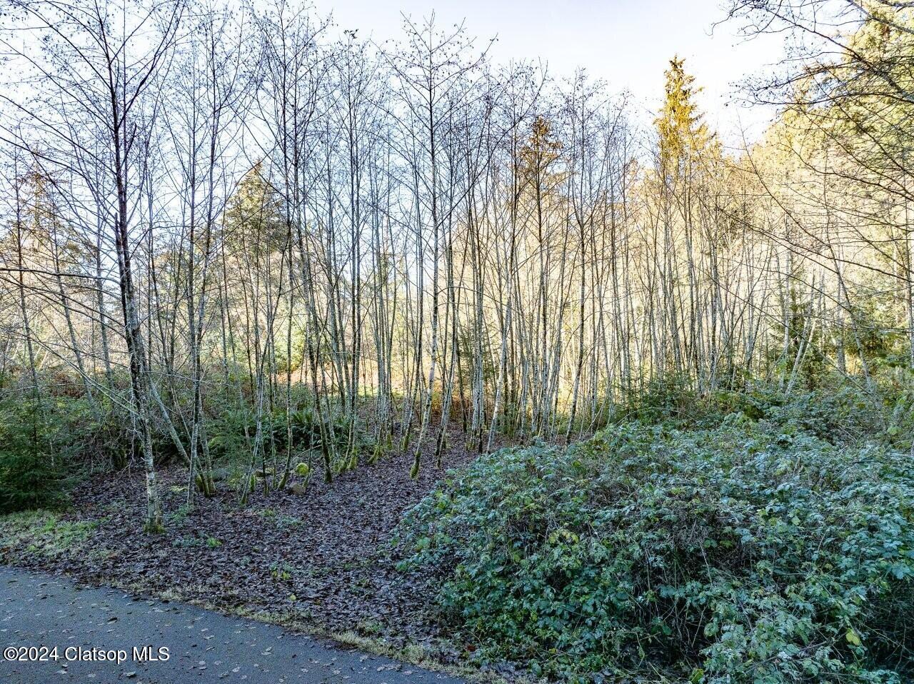 Lot 68 Bay View Road Property Photo 16