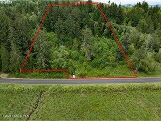 V/l Ziak-gnat Creek Ln. Property Photo
