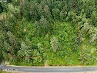 V/l Ziak-gnat Creek Ln. Property Photo 3