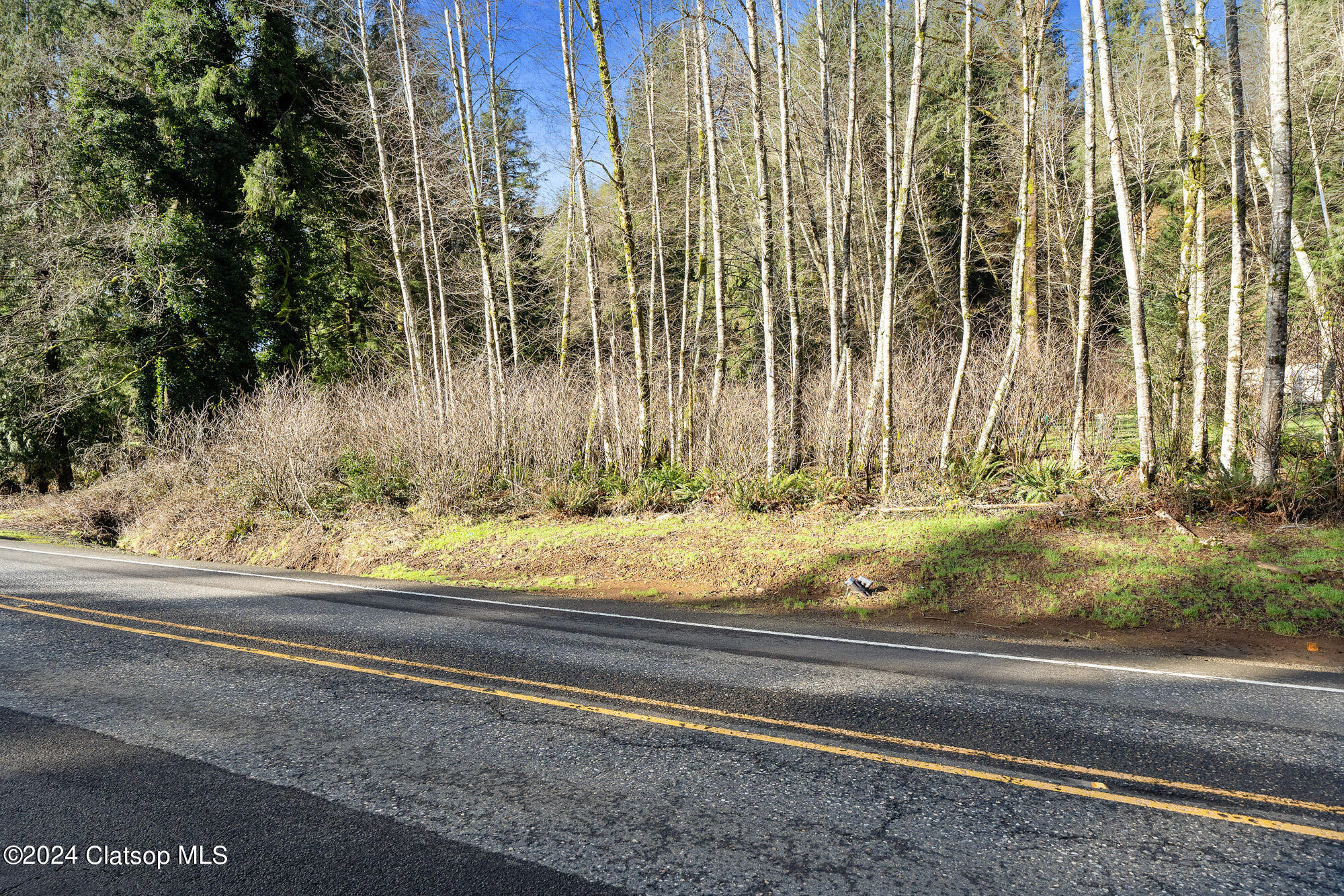 Wilson River Highway Property Photo 11