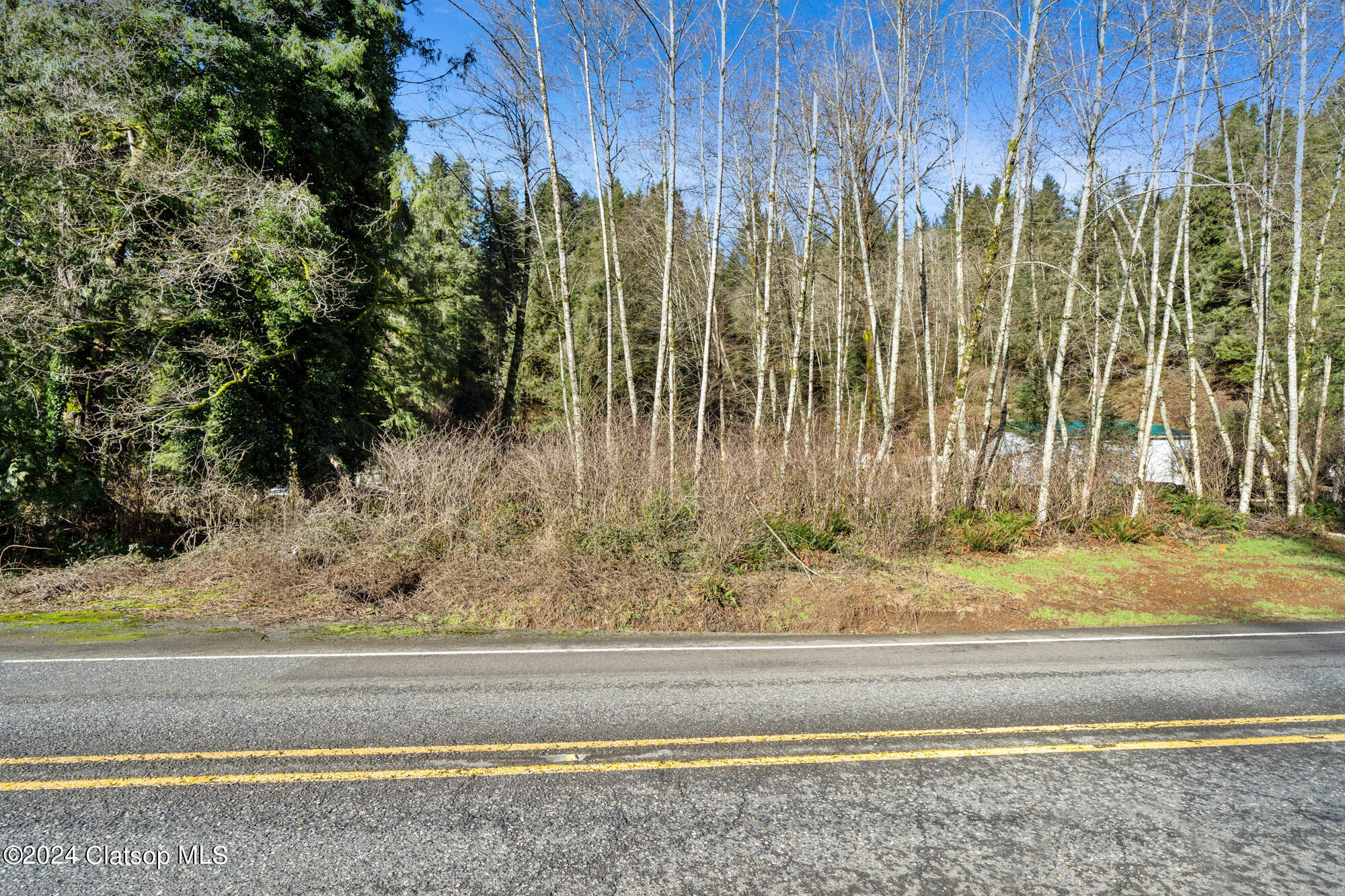 Wilson River Highway Property Photo 12