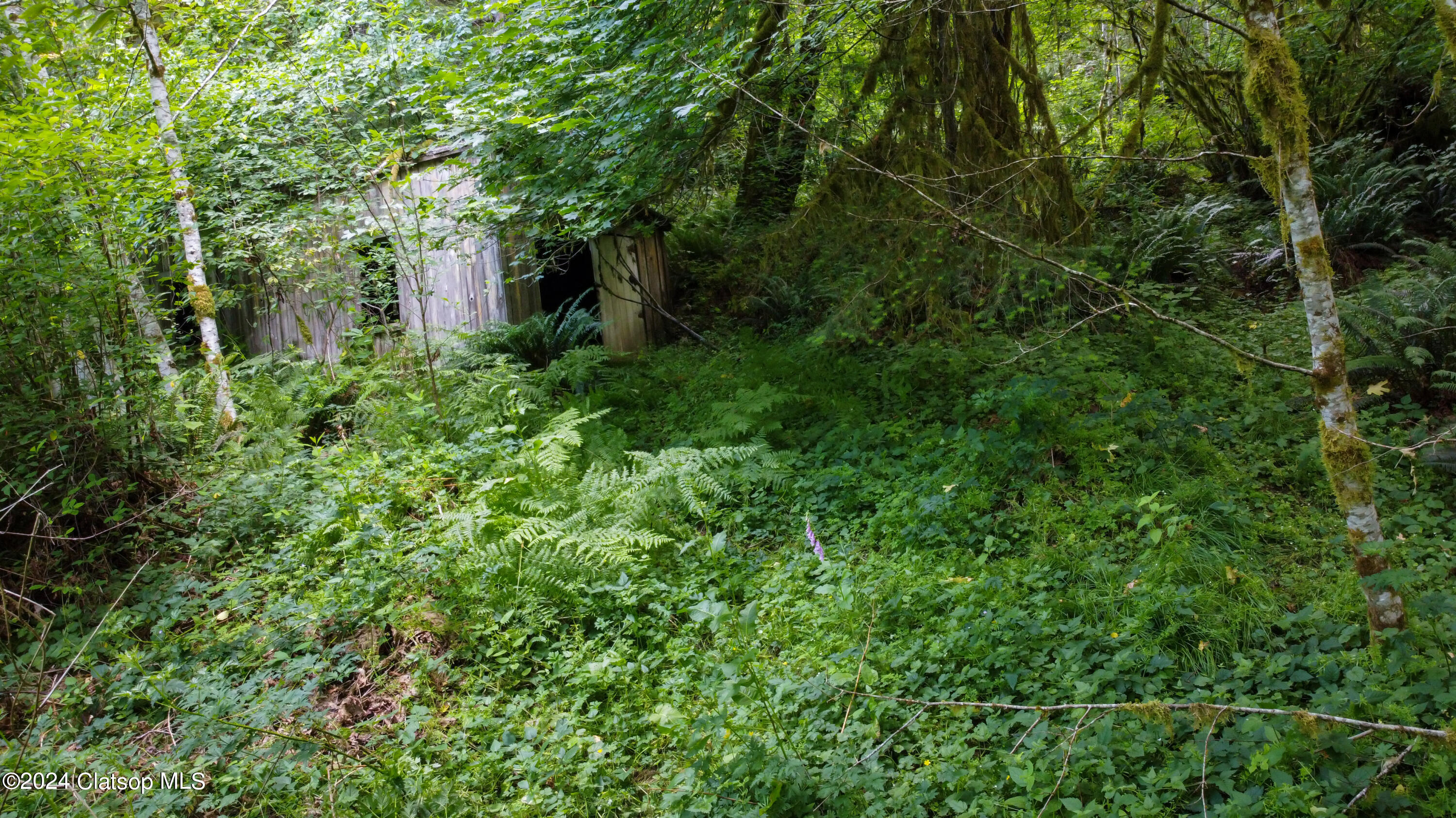 79779 Hwy103 Property Photo 5