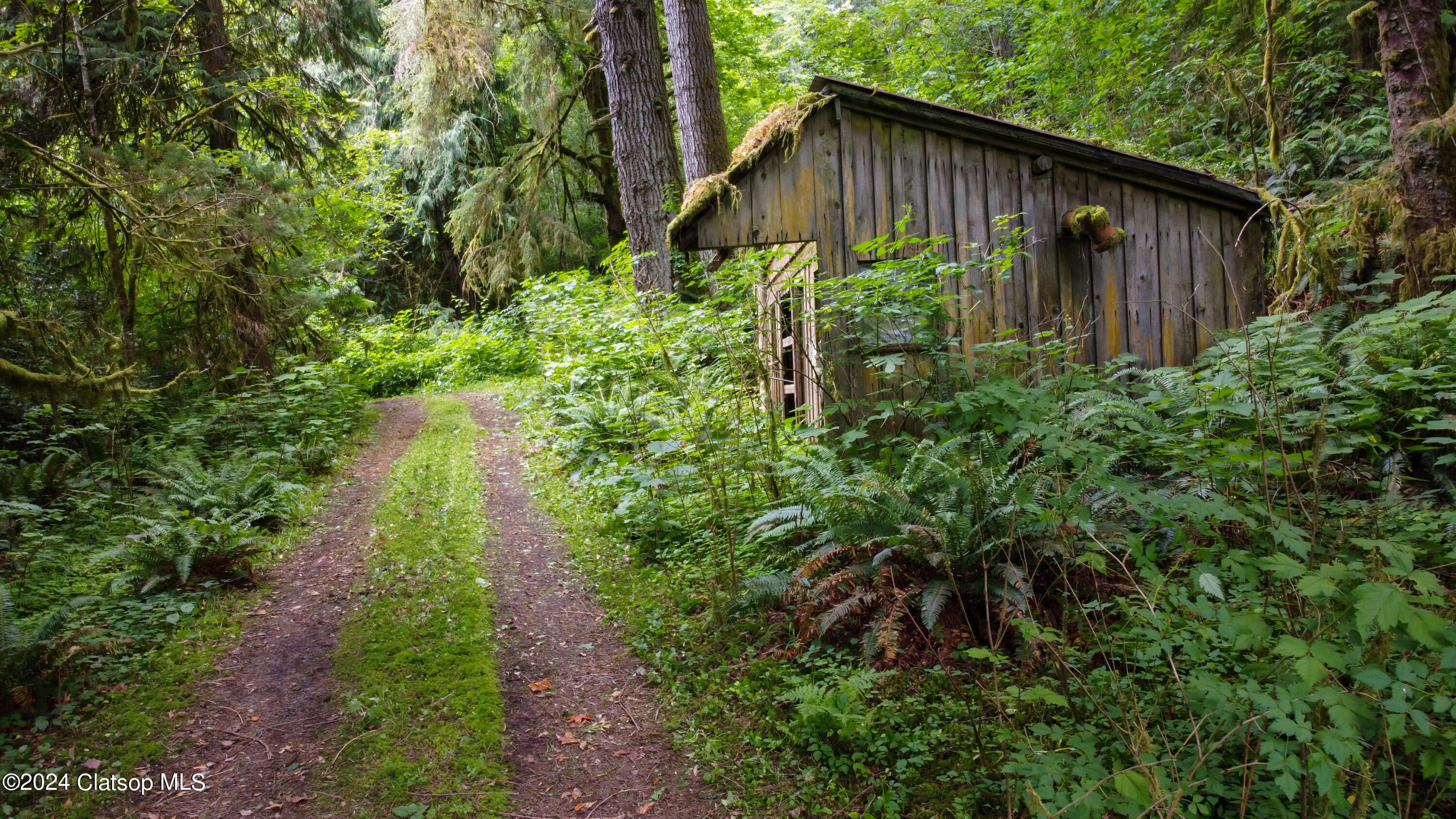 79779 Hwy103 Property Photo 6