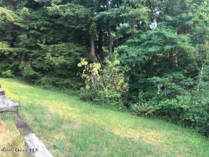 2nd And Cedar Street Property Photo 8