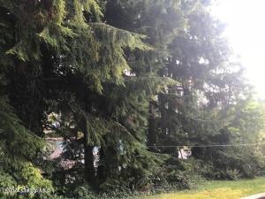 2nd And Cedar Street Property Photo 10