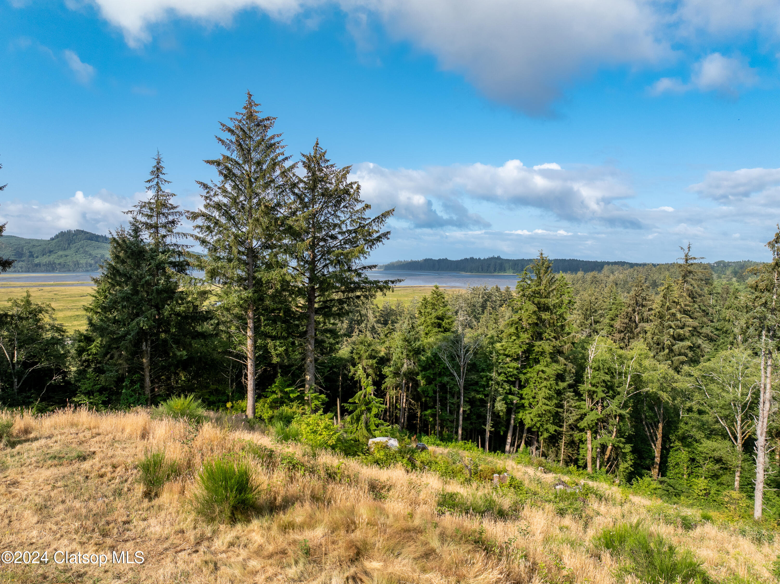 V/l Lot 2700 Thompson Rd Property Photo 6
