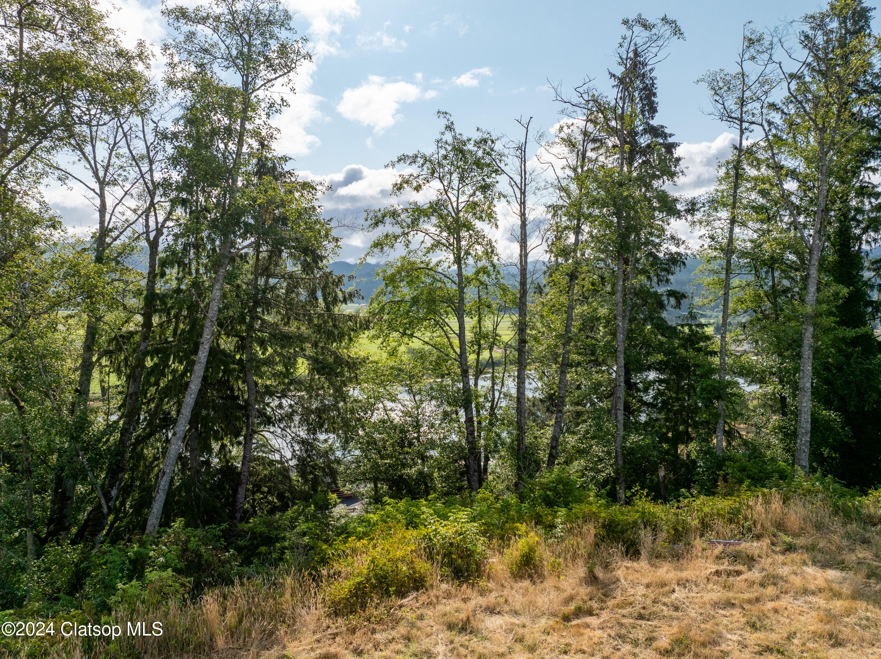 V/l Lot 2700 Thompson Rd Property Photo 16