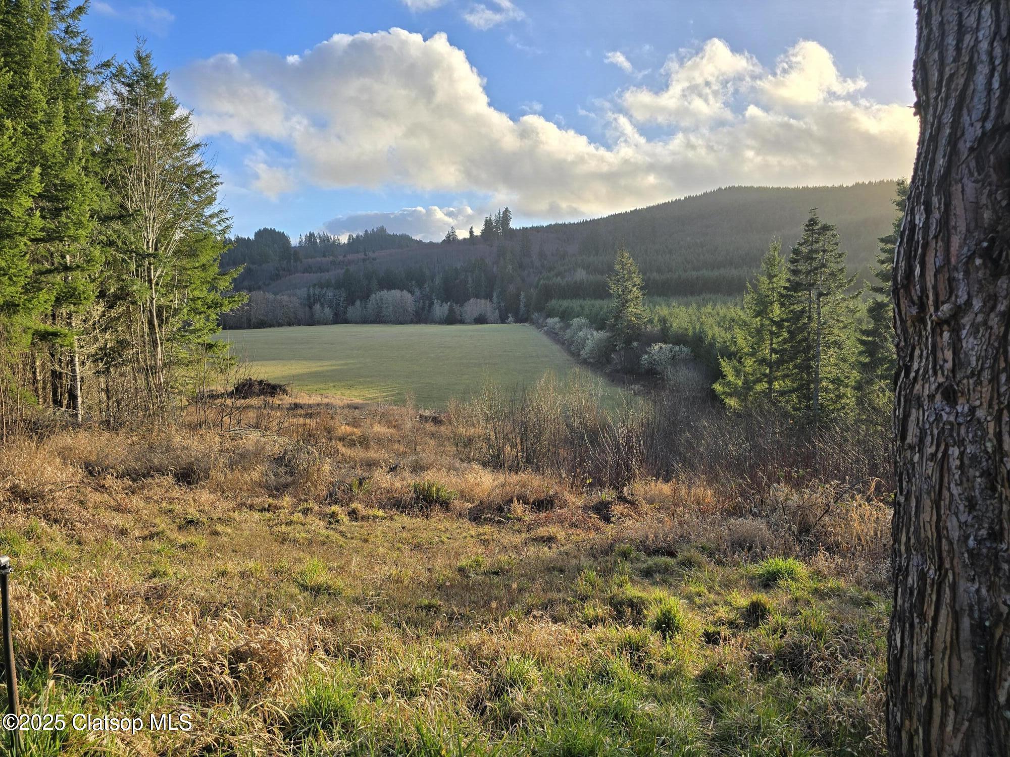 10090 Or-202 Property Photo 3