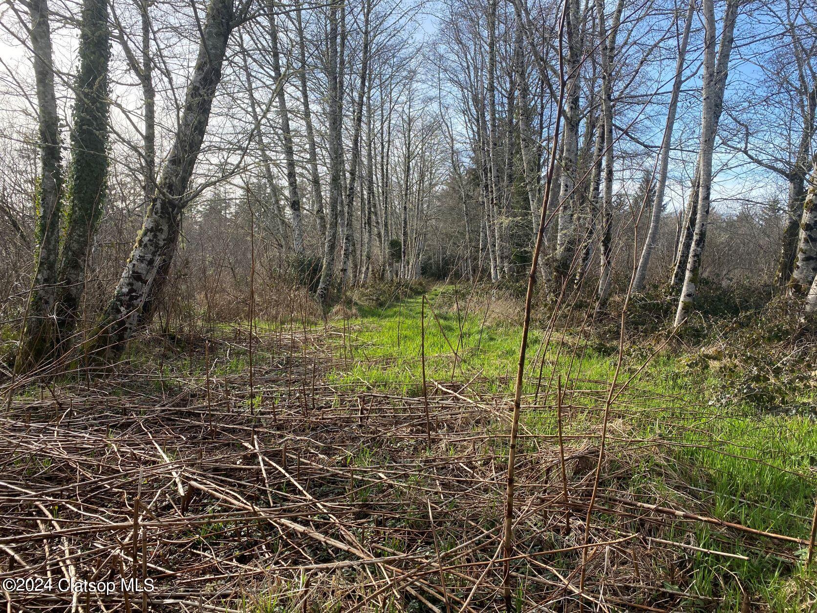 Vl Hawkins Road Property Photo 6