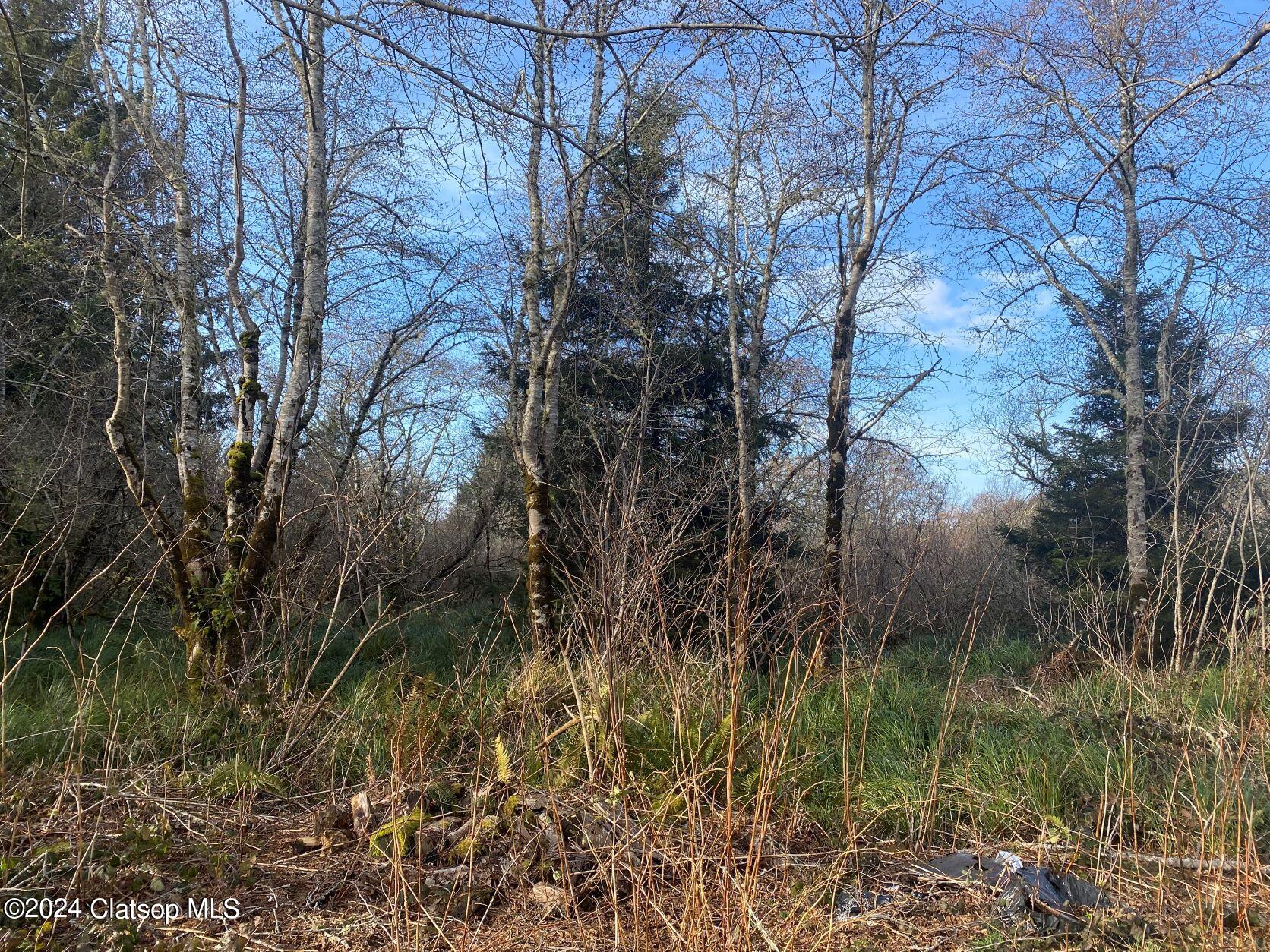 Vl Hawkins Road Property Photo 7