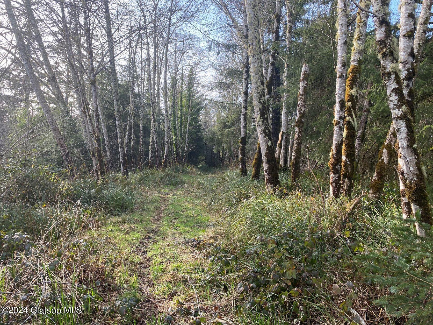 Vl Hawkins Road Property Photo 8