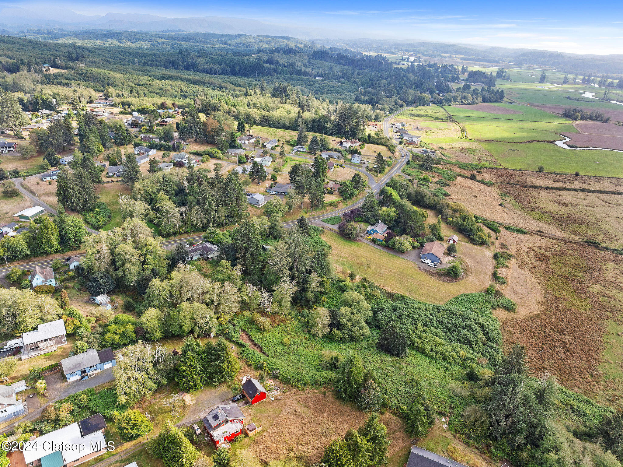 Vl Adj To 91906 Lewis & Clark Road Property Photo 4